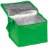 Сумка-холодильник для 6 банок Зелёная